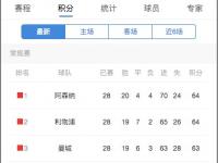 爱游戏体育官方-利物浦逆转战胜切尔西，登顶英超积分榜