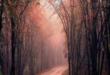 圣埃蒂安主场告捷，终结连败