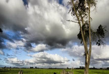 利物浦逆袭狼队，英超领头羊磨砺稳固