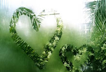 大洋洲联赛新科冠军登场，赛季终极挑战寻得主角