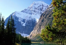 美洲篮球职业最佳球员评选，众多豪杰竞逐殊荣