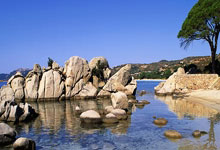 罗兰团队密谋引进当红巨星，欲引发一波转会热潮